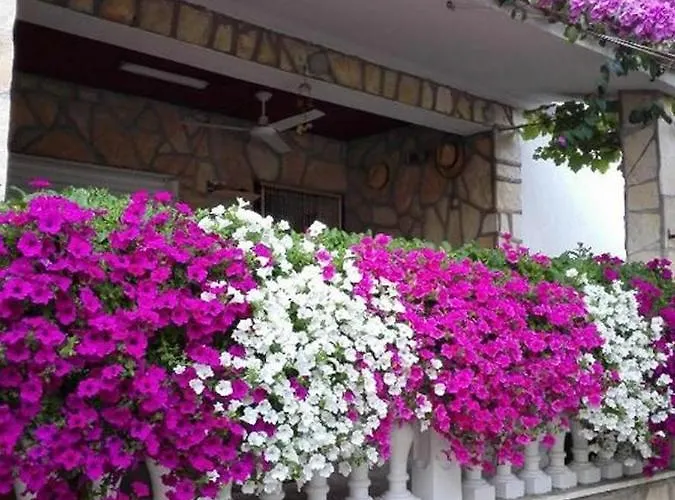 With Parking Spaces Sabunike, Zadar - 6258 Daire *